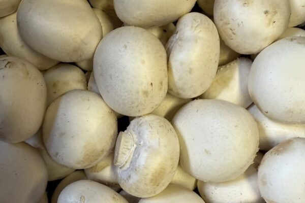 Mushrooms