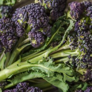 Purple Sprouting Broccoli