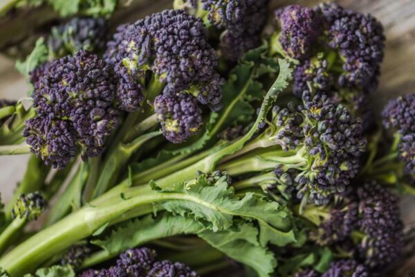 Purple Sprouting Broccoli